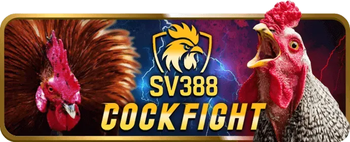 Chương trình VIP cho nổ hũ